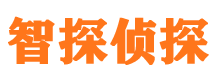 佛冈私家调查公司